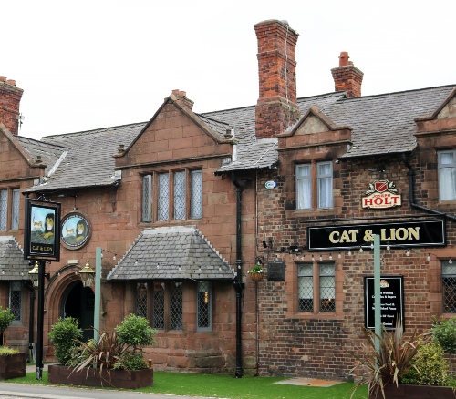 Cat and lion index image